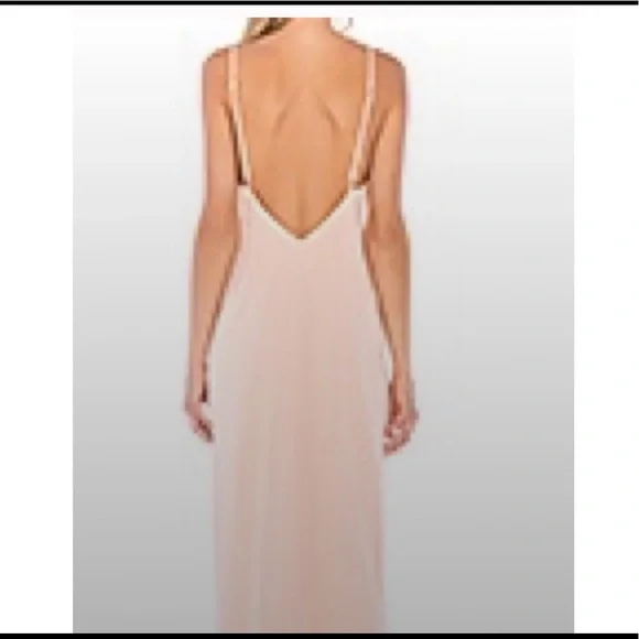 Privacy Please Rasika Gown in Blush Small and Medium Size - Picture 3 of 16